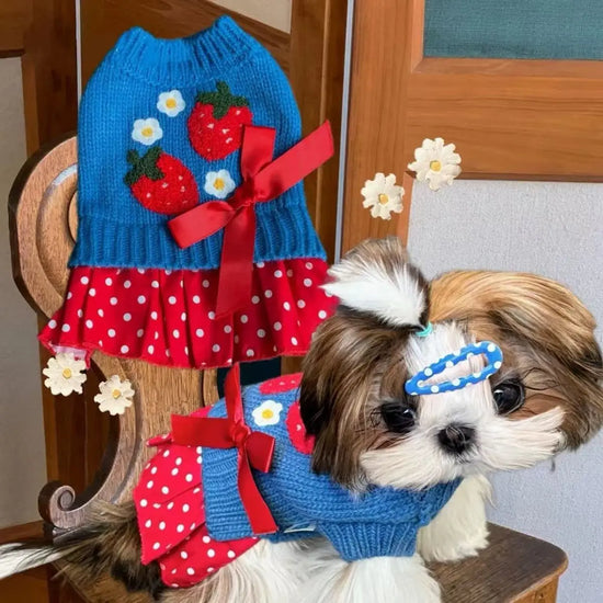 Pet Autumn/Winter Knitted Strawberry Dress