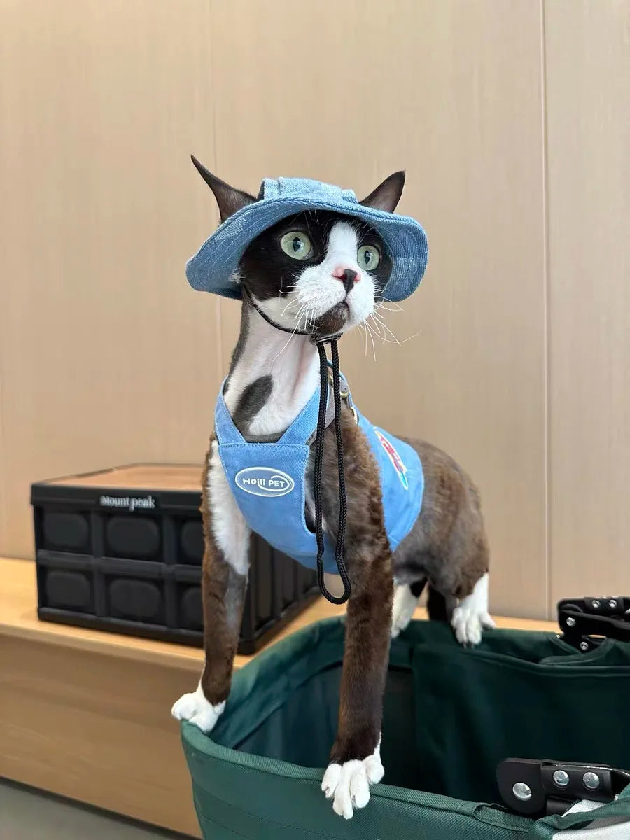 Fashion Cat hat Summer Sun Hats for Sphynx Kittens Open Ears Blue Cowboy Hats Adjustable Cap Cord for Devon Rex Cat Supplies