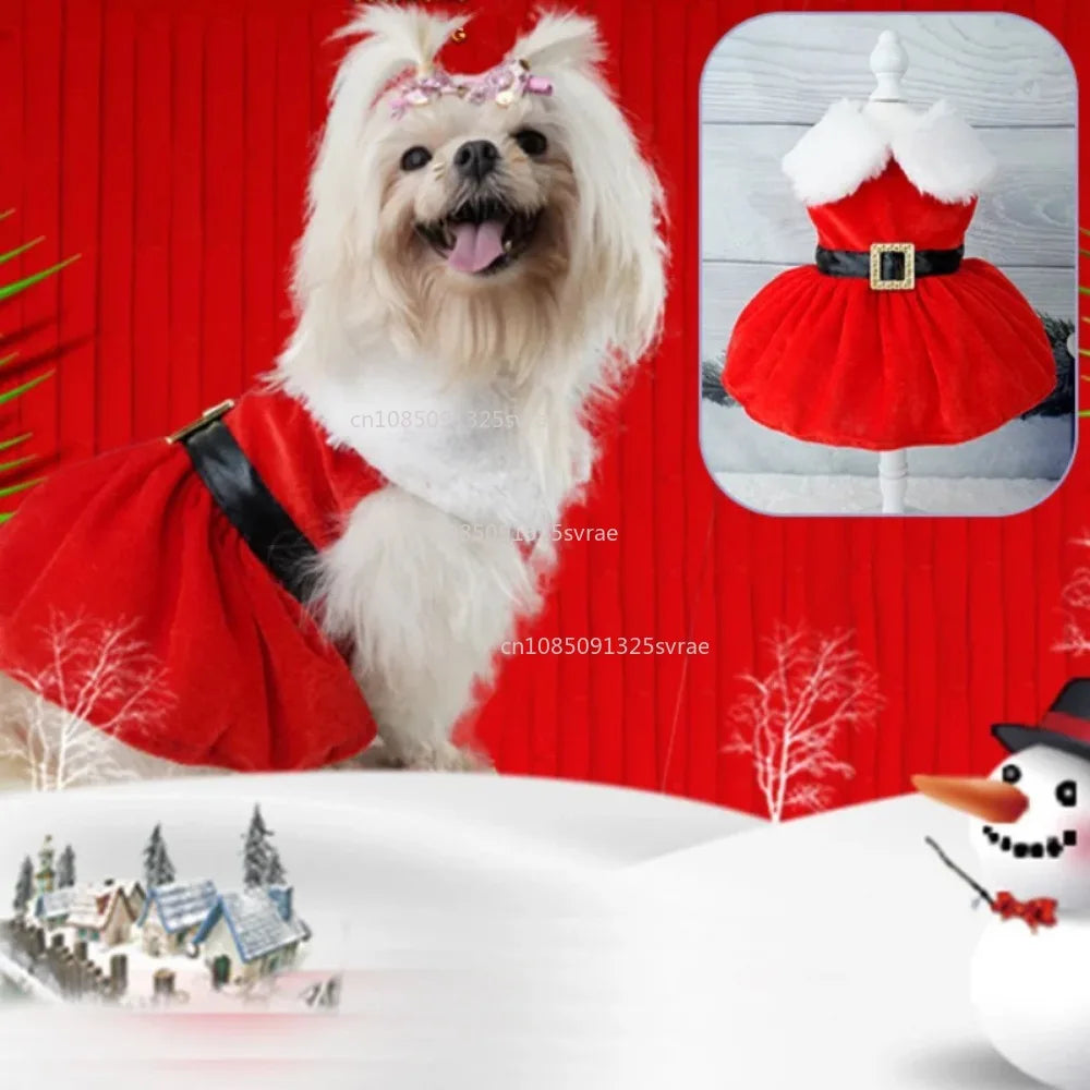 Christmas Dog Dresses