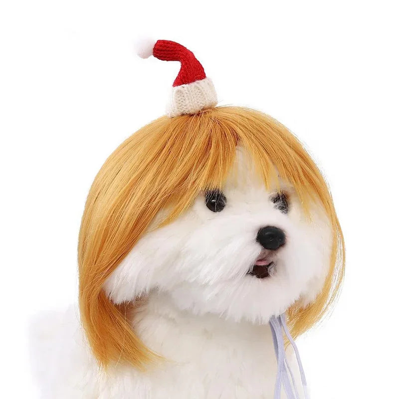 Pet Wig Dog And Cat