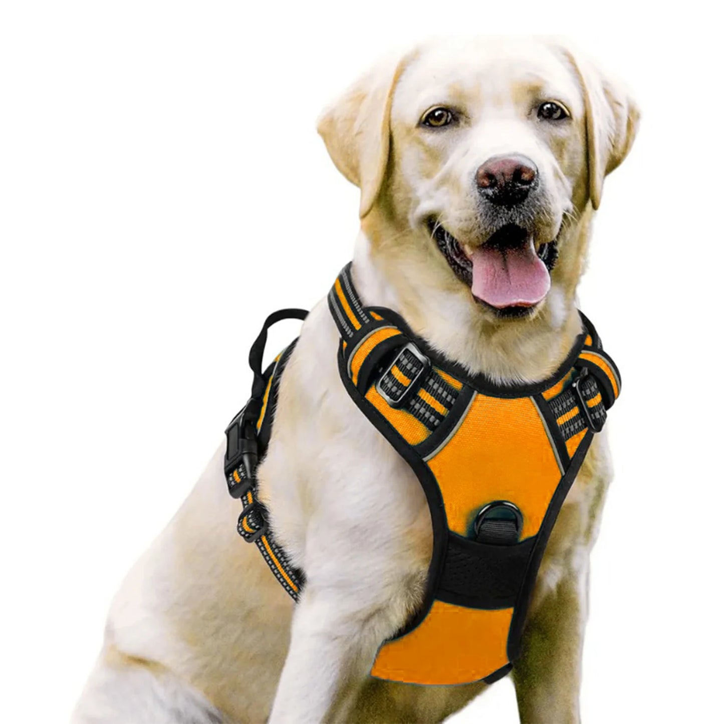 Dog Harness No Pull