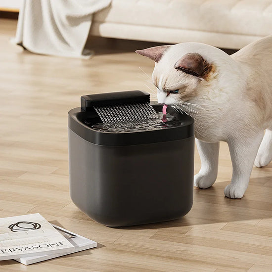 3L USB Pet Water Fountain with Pump & Filter