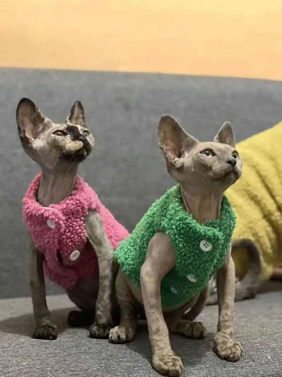 Cat clothes, warm lamb wool vest,