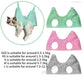 Cat Grooming nail cutting