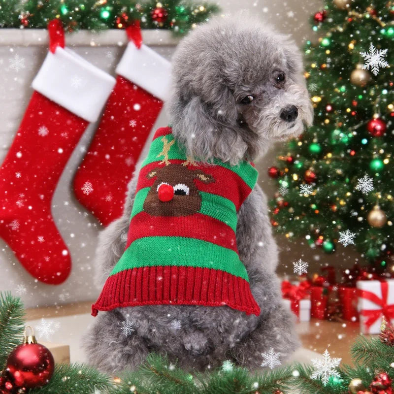 Dog Sweater Christmas