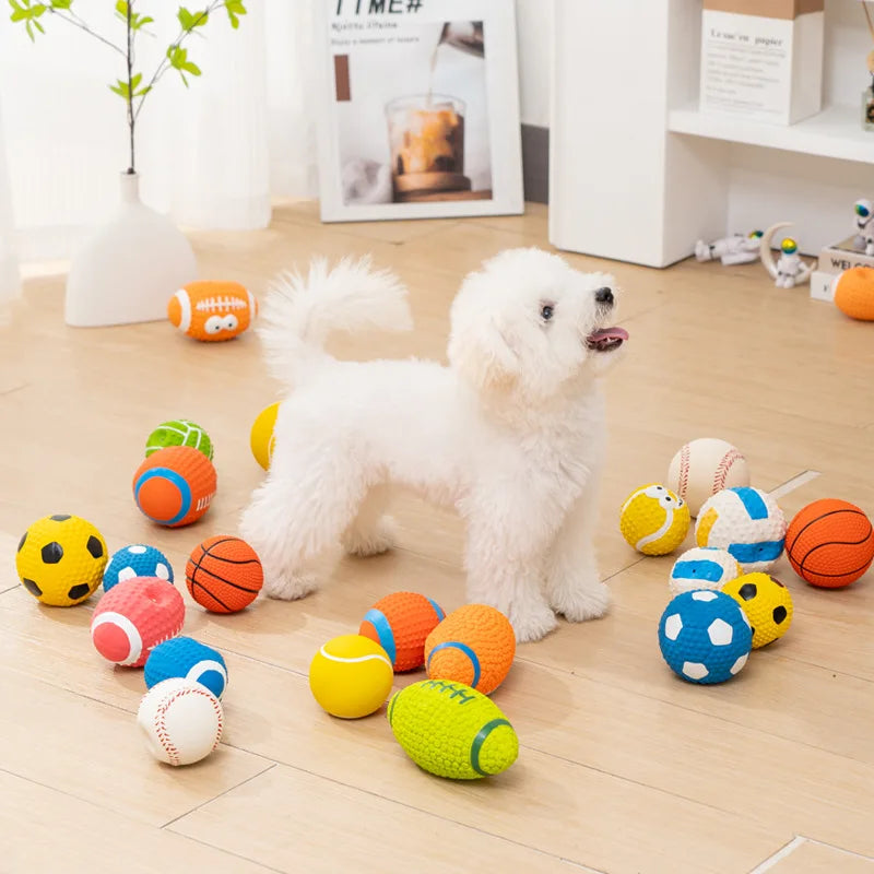 Squeaky Dog Toys