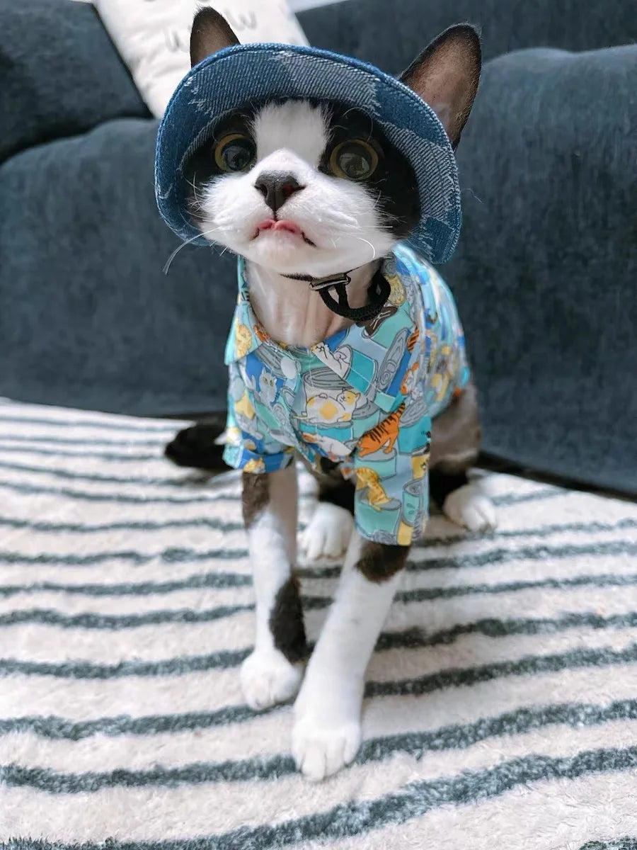 Fashion Cat hat Summer Sun Hats for Sphynx Kittens Open Ears Blue Cowboy Hats Adjustable Cap Cord for Devon Rex Cat Supplies