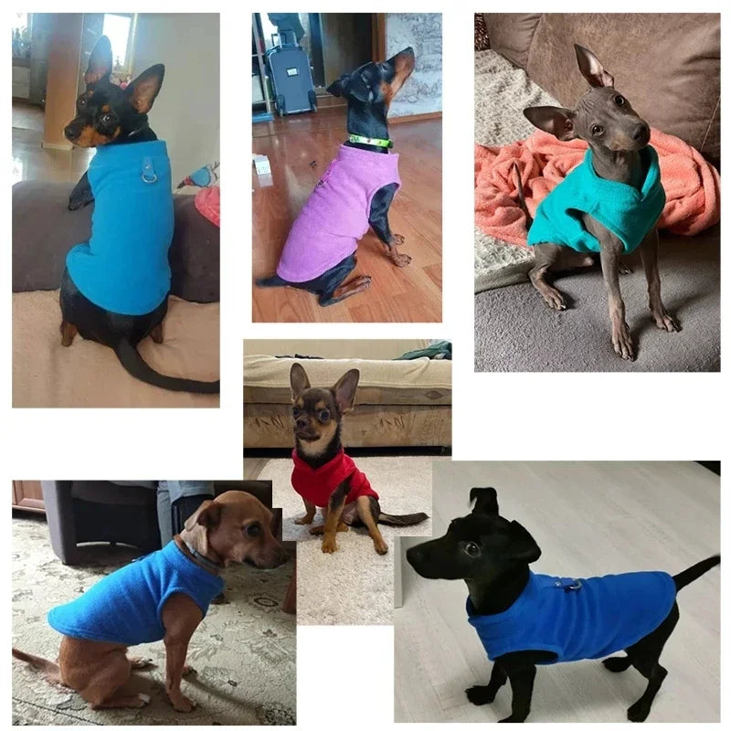 Pet Dog Jacket Vest With D-Ring