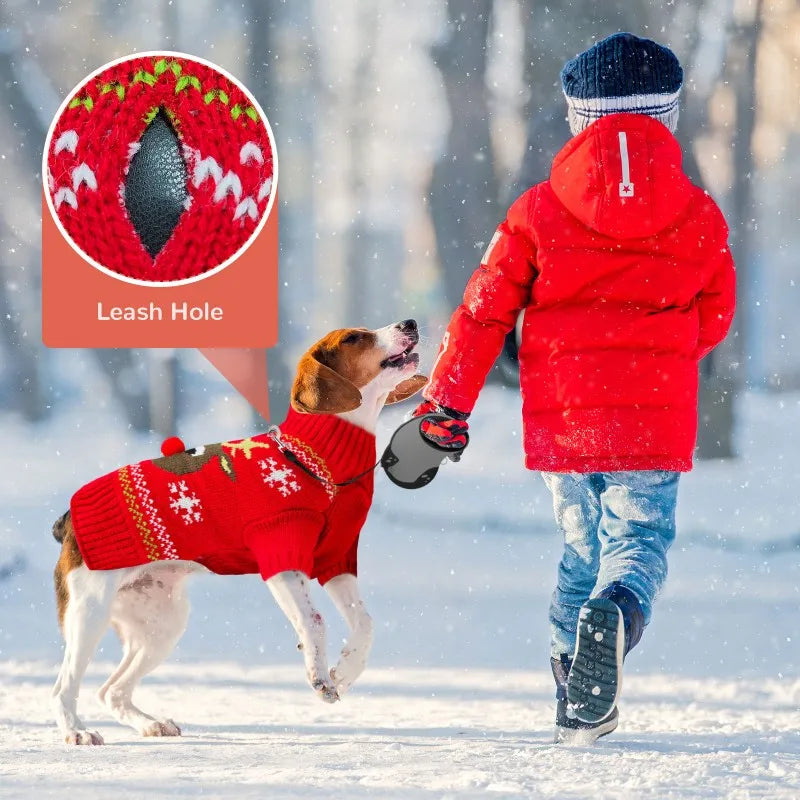 Dog Sweater Christmas