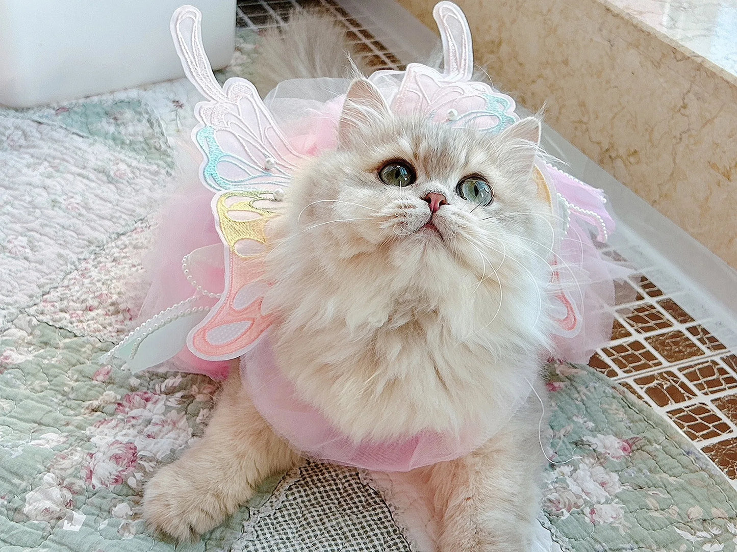 Cat Dog Princess Dress Clothes