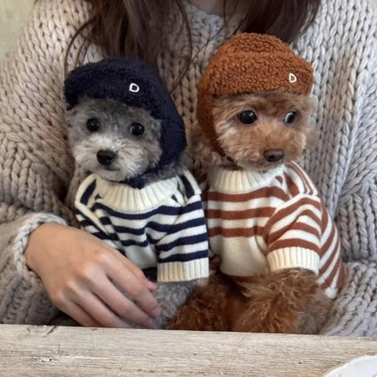 New Striped Pattern Dog Clothes