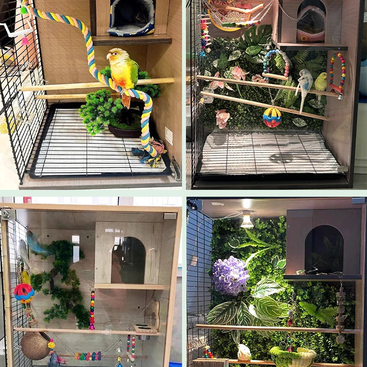 Parrot bird cage