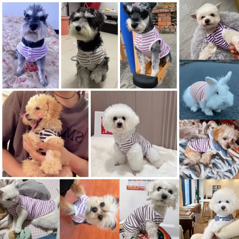Pet Dog Striped Sweatshirt