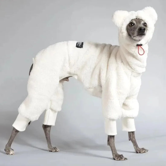 Warm Fleece White Sweatshirt