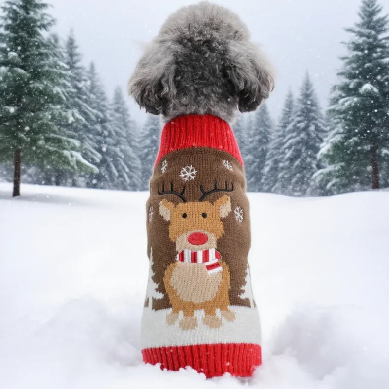 Dog Sweater Christmas