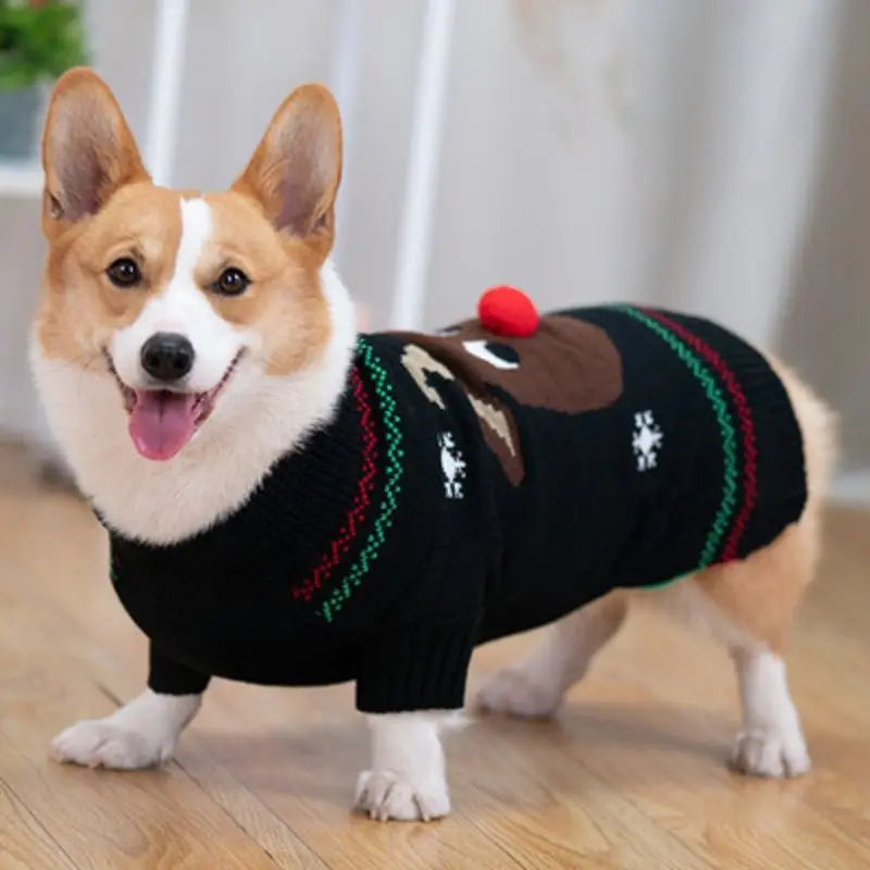 Dog Sweater Christmas