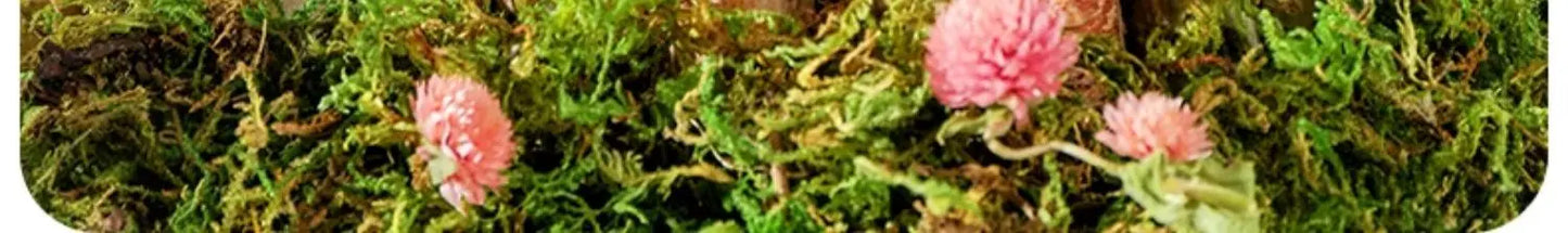 Secret Garden Series Natural  Hamster Bedding