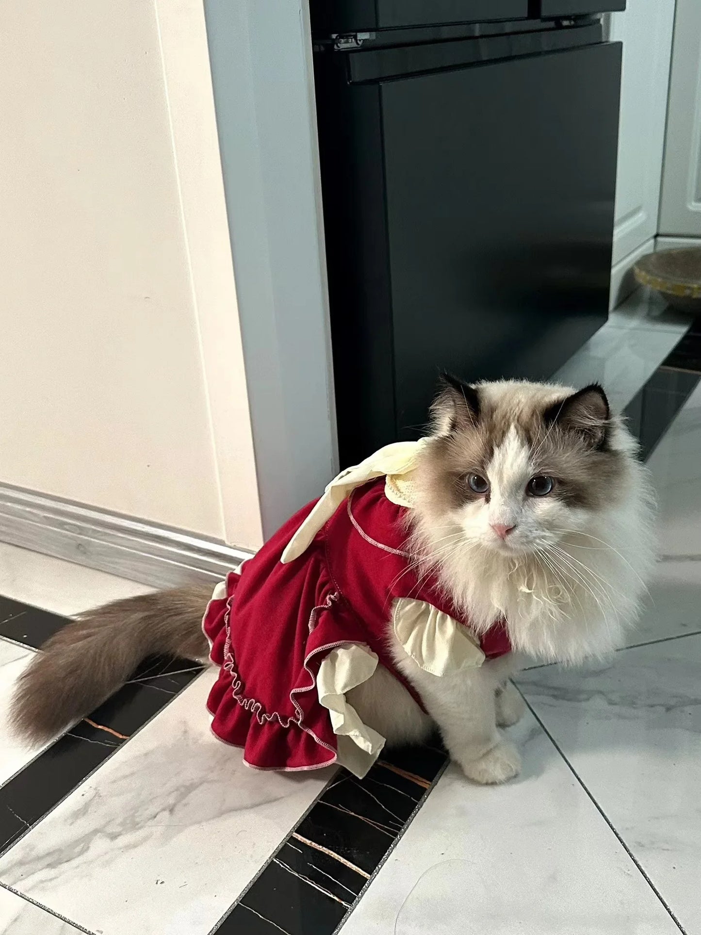 Cat Skirt & Bow Princess Skirt
