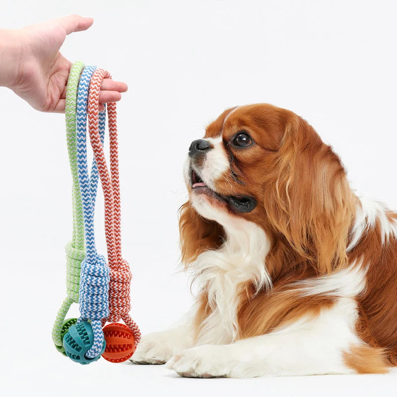 Pet Tooth Cleaning Ball Toy