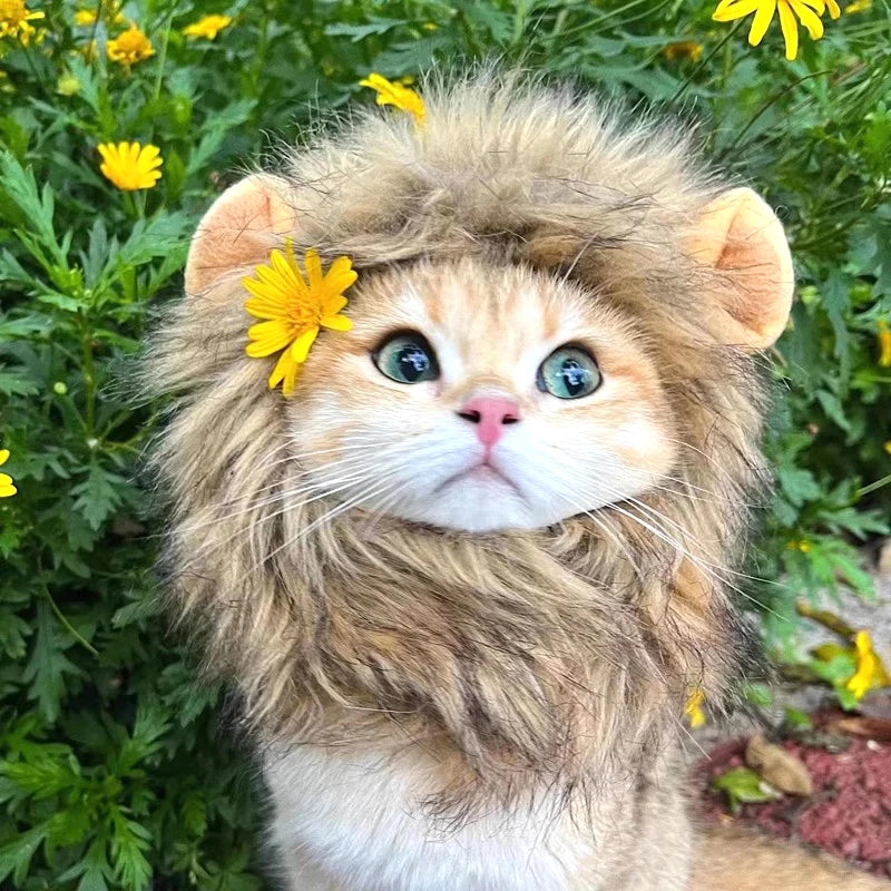 Cat Cosplay Dress Up Pet Hat Lion Mane