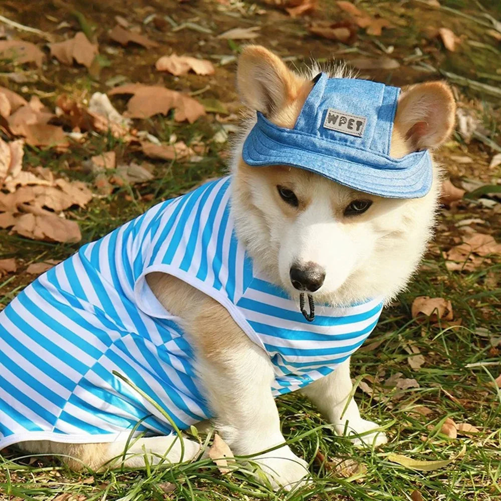 Dog Hat with Ear Holes