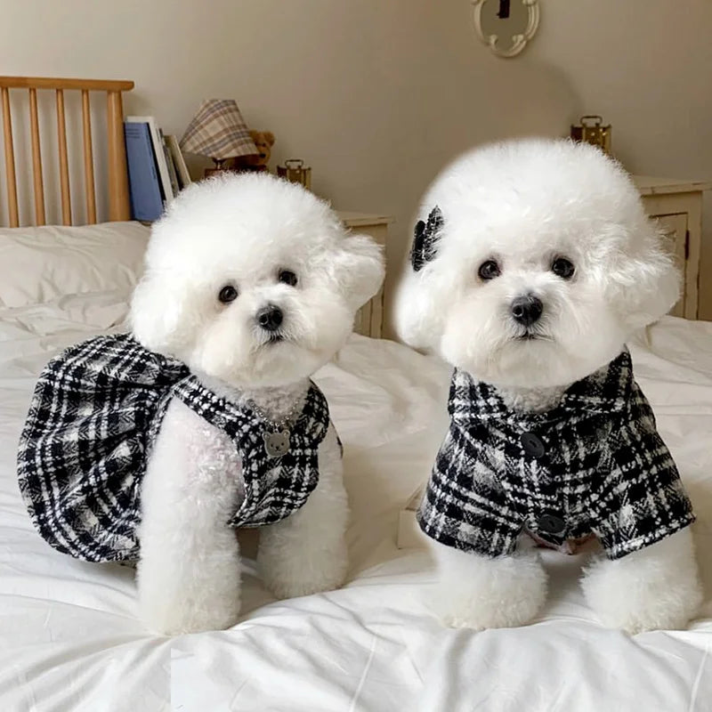 Christmas Dog Cat Dress