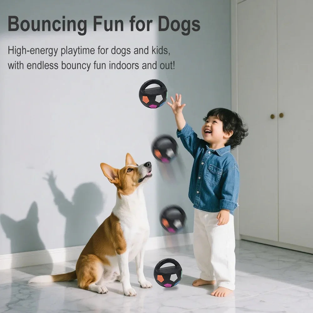 Pet Dog Toy Football Shape