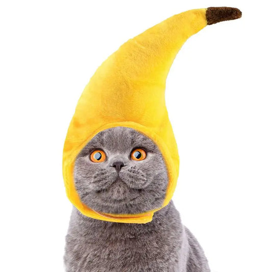 Halloween Funny Pet Cat Cap Costume