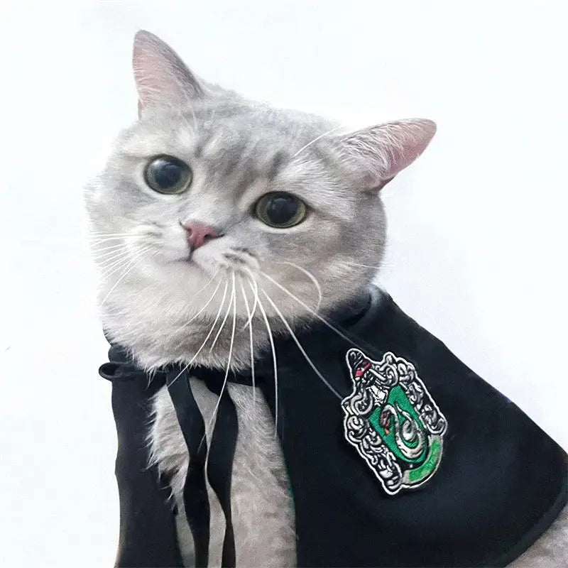 Halloween Dog Costume