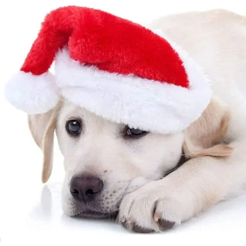 Deluxe Plush Christmas Pet Santa Hat