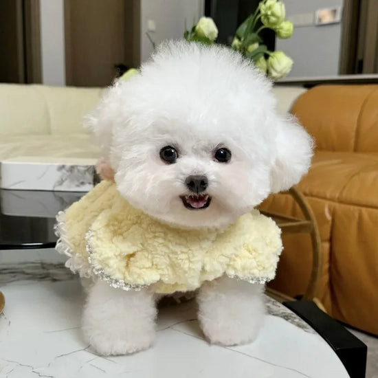 So Cute Dog Dress