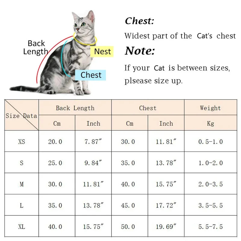 Cute Hairless Cat Clothes