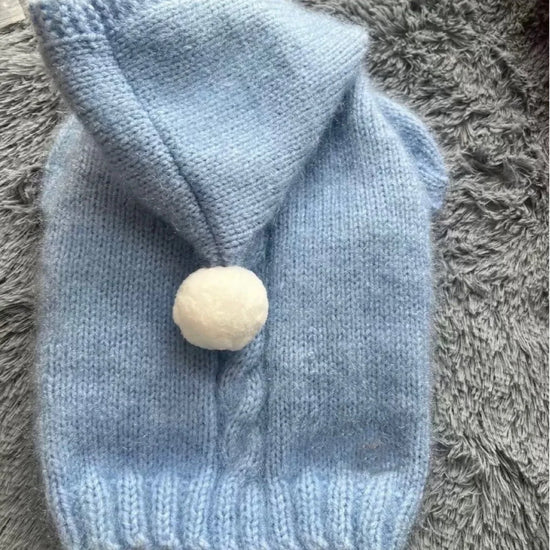 Pet Color Hooded Sweater