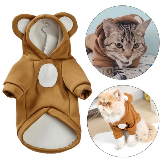 Cute Hairless Cat Clothes