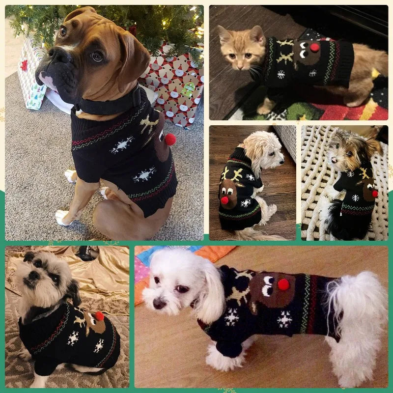 Dog Sweater Christmas