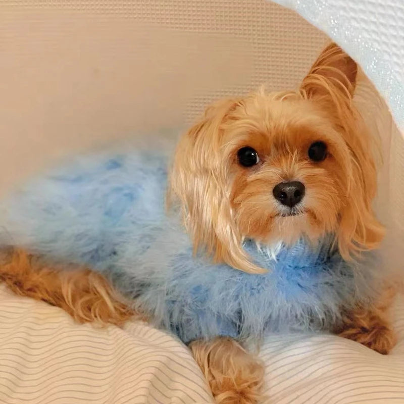 Pet Colorful Sweater