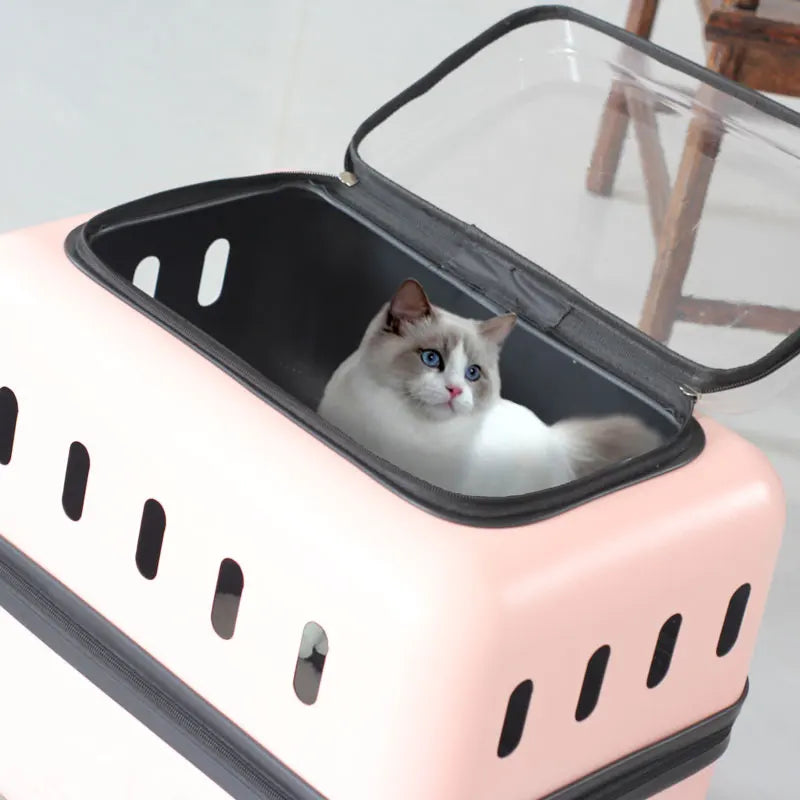 Large Pet Travel Carrier Rolling