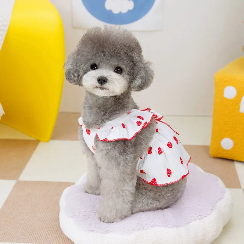 Strawberry Print Pet Dog Dress 2025