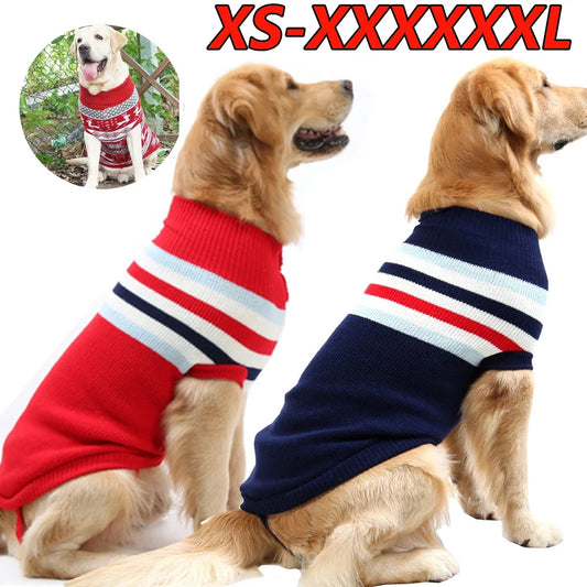 Big Dog Sweater Winter Warm