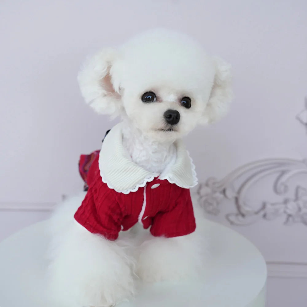 Autumn Winter New Pet Dog Clothes