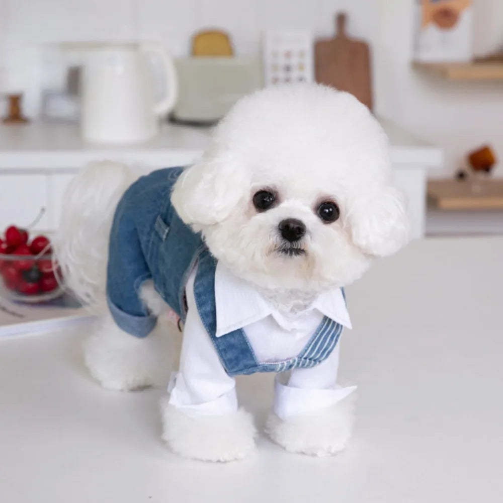 Pet Autumn Winter Striped Patchwork Denim Straps Dog Pants