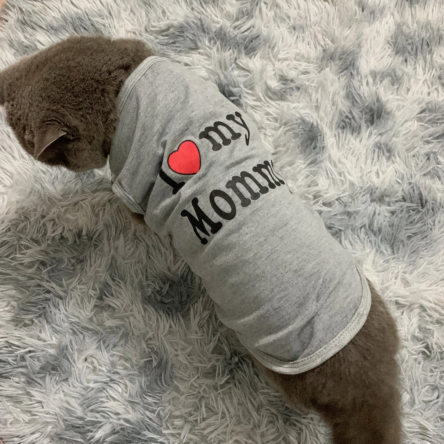 Lovely Pet Clothes for Small Cats Dogs