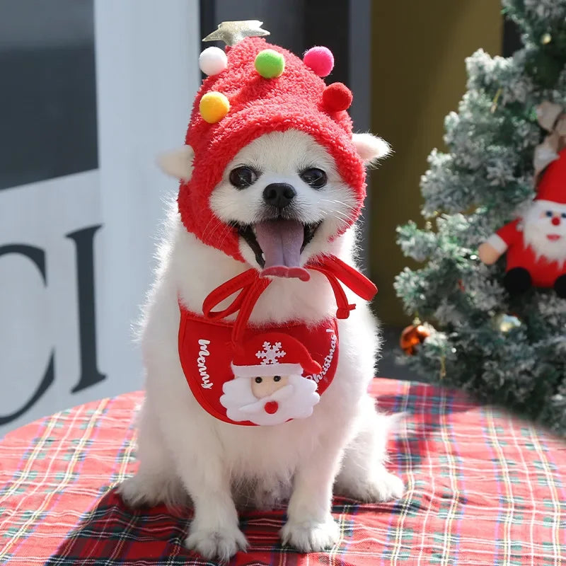Christmas Pet Hat & Drool Bib