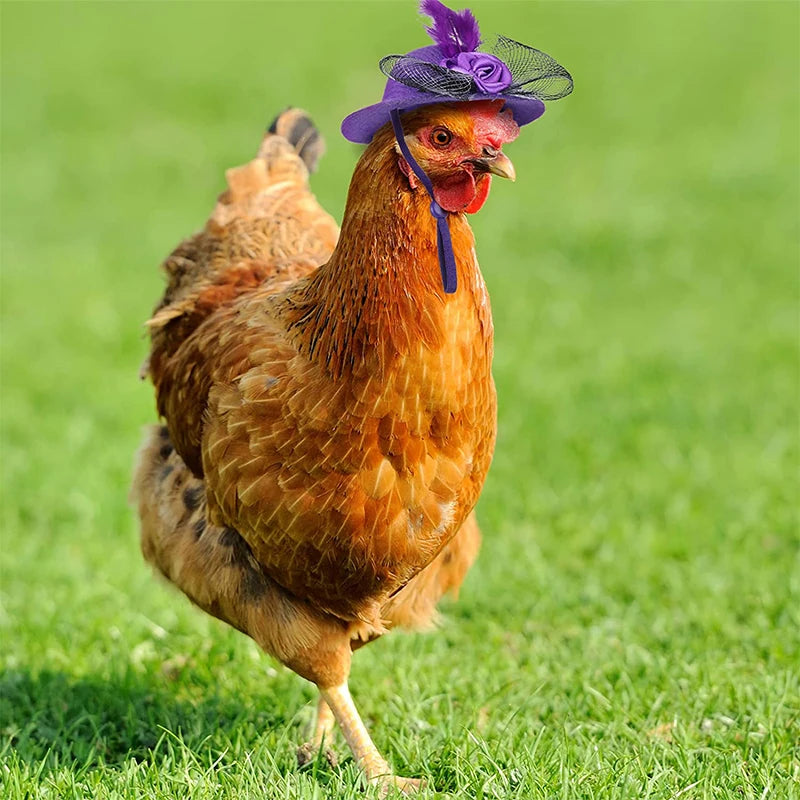 Chicken Hat for Tiny Pets