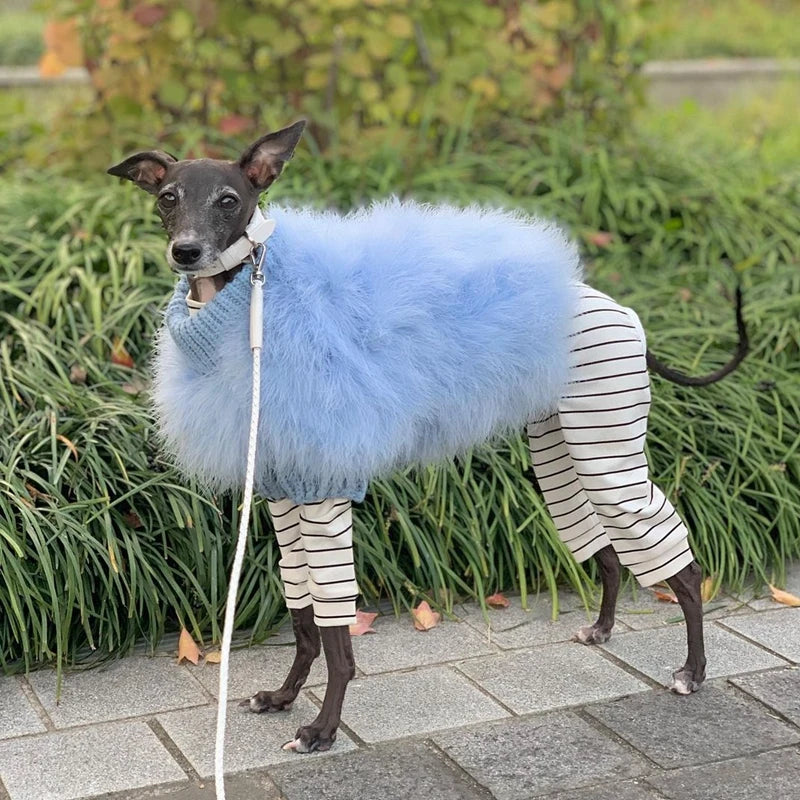 Pet Colorful Sweater