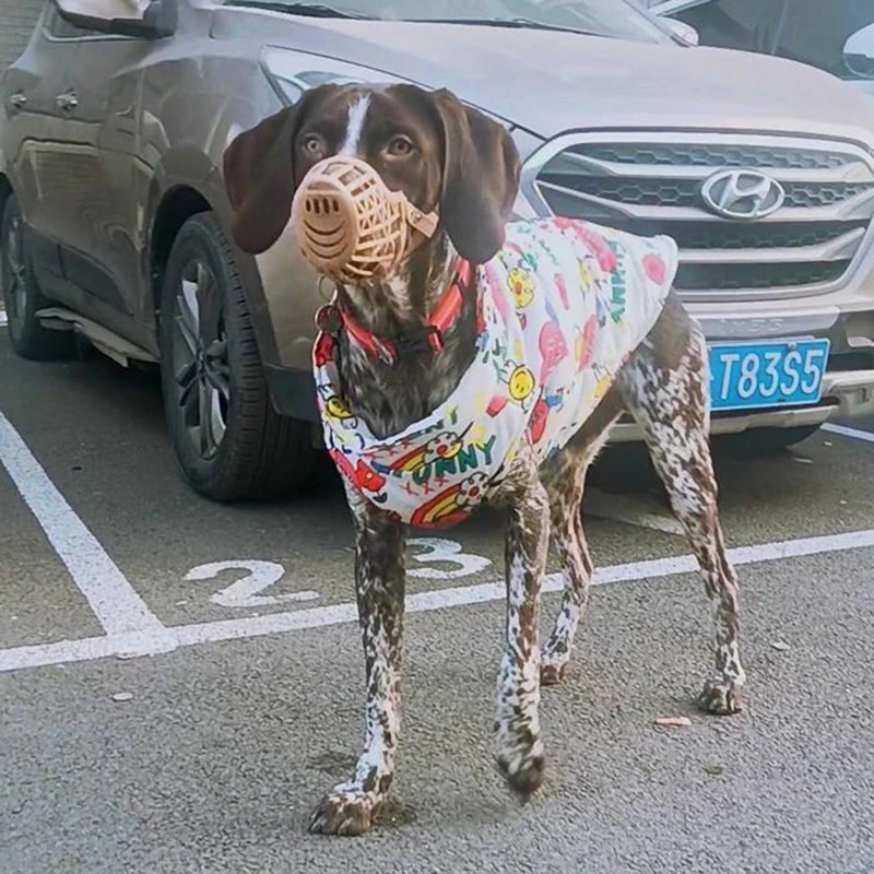 Fashion Big Dog Waterproof Jacket