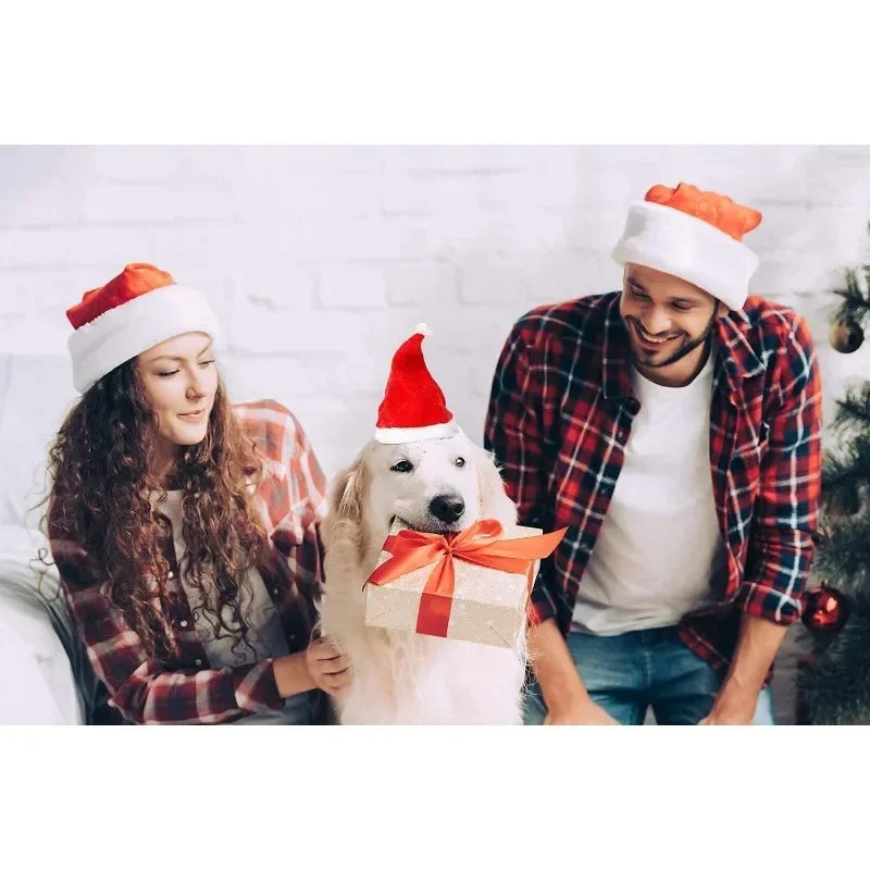 Deluxe Plush Christmas Pet Santa Hat