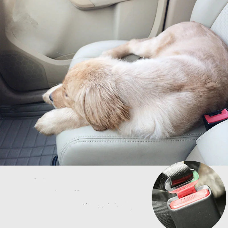 Car Seat Belt Buckle
