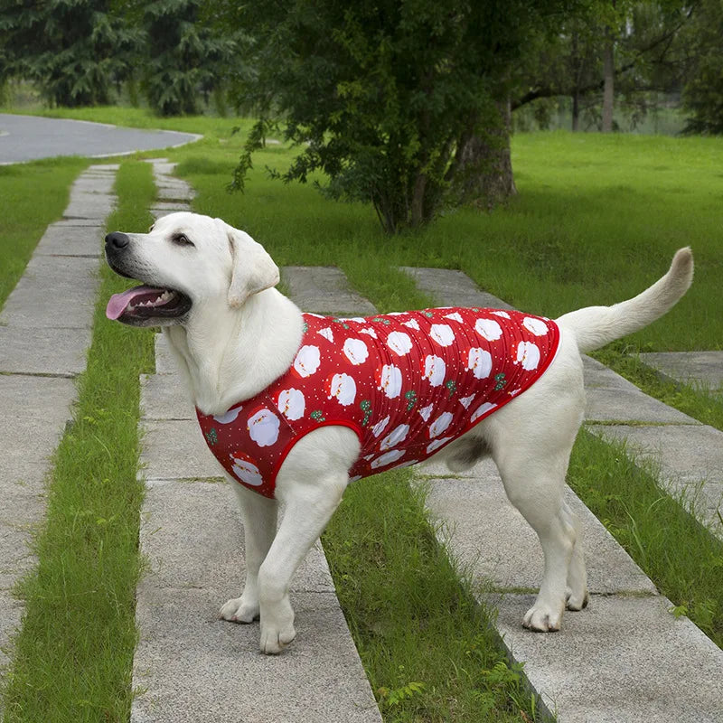 Large Dog Christmas Vest