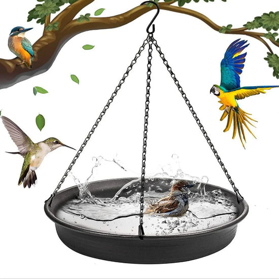 Hanging Bird Feeder, Water, Bath Tray